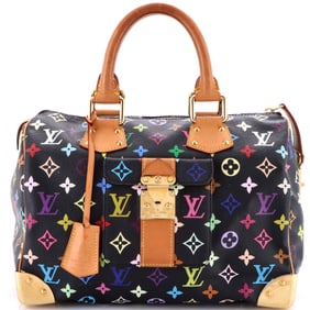 Louis Vuitton Speedy Handbag