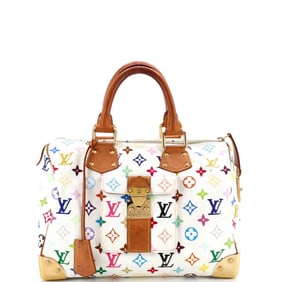 Louis Vuitton Speedy Handbag