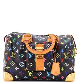 Louis Vuitton Speedy Handbag