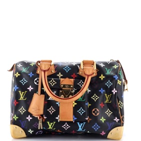 Louis Vuitton Speedy Handbag
