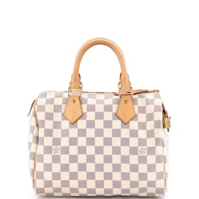 Louis Vuitton Speedy Handbag