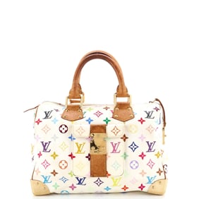 Louis Vuitton Speedy Handbag