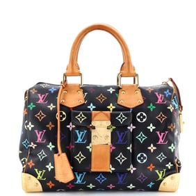 Louis Vuitton Speedy Handbag