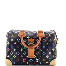 Louis Vuitton Speedy Handbag