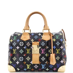 Louis Vuitton Speedy Handbag