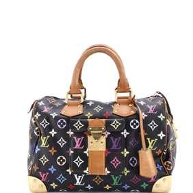Louis Vuitton Speedy Handbag