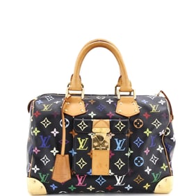 Louis Vuitton Speedy Handbag