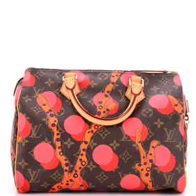 Louis Vuitton Speedy Handbag