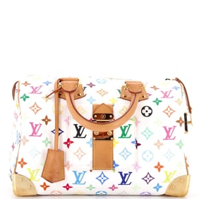 Louis Vuitton Speedy Handbag