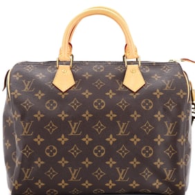 Louis Vuitton Speedy Handbag