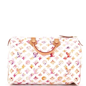 Louis Vuitton Speedy Handbag