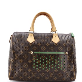 Louis Vuitton Speedy Handbag