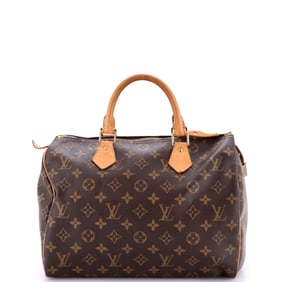 Louis Vuitton Speedy Handbag