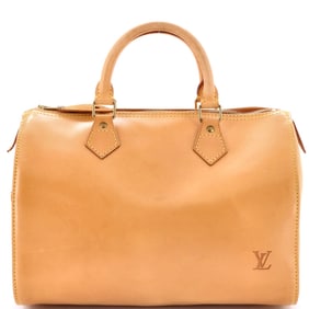 Louis Vuitton Speedy Handbag