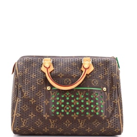 Louis Vuitton Speedy Handbag