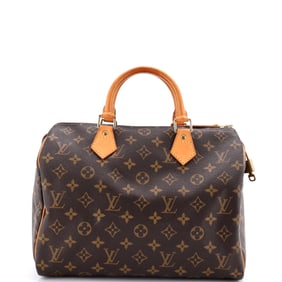 Louis Vuitton Speedy Handbag
