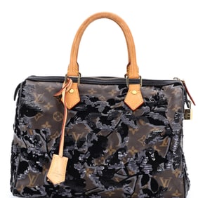 Louis Vuitton Speedy Handbag