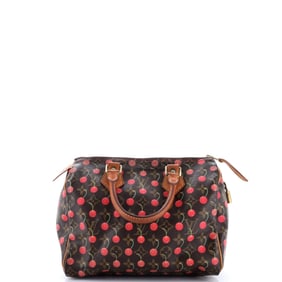 Louis Vuitton Speedy Handbag