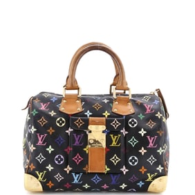 Louis Vuitton Speedy Handbag