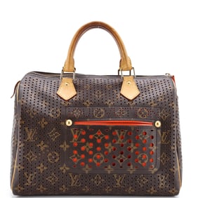 Louis Vuitton Speedy Handbag
