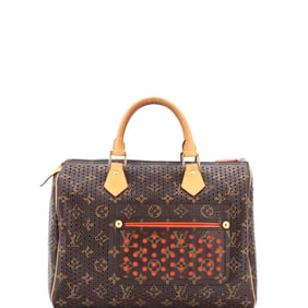 Louis Vuitton Speedy Handbag