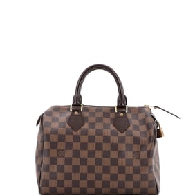 Louis Vuitton Speedy Handbag