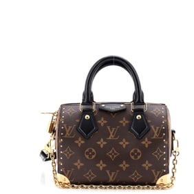 Louis Vuitton Speedy Trunk Bag