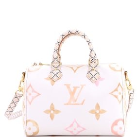 Louis Vuitton Speedy Bandouliere Bag