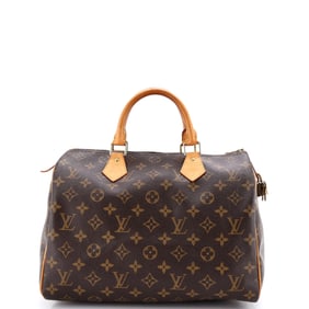 Louis Vuitton Speedy Handbag