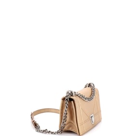 Christian Dior Diorama Flap Bag Calfskin Medium (Metallic, Neutral)