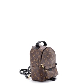 Louis Vuitton Palm Springs Backpack Monogram Canvas Mini Brown