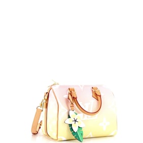 Louis Vuitton Speedy Bandouliere Bag By The Pool Monogram Giant 25