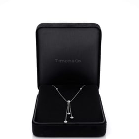 Tiffany & Co. By The Yard Lavalier 14 Diamond Station Pendant Necklace Platinum with Diamonds