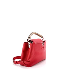Louis Vuitton Louis Vuitton Capucines Bag Leather with Snakeskin BB
