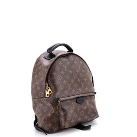 Louis Vuitton Louis Vuitton Palm Springs Backpack Monogram Canvas MM
