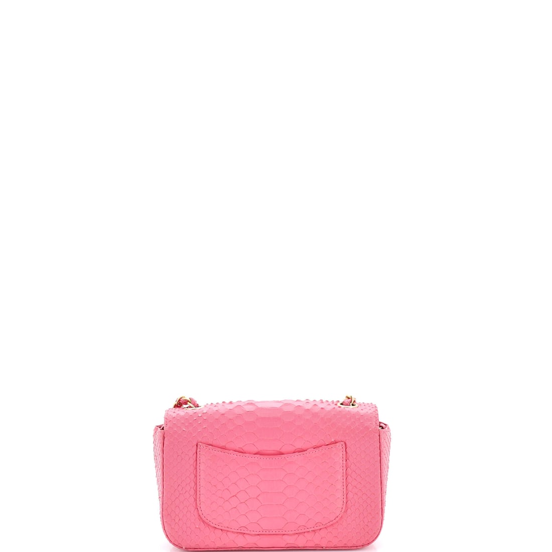 Chanel Chanel Classic Single Flap Bag Python Mini - 2