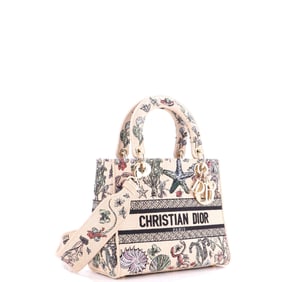Christian Dior Christian Dior Lady D-Lite Bag Embroidered Raffia Medium