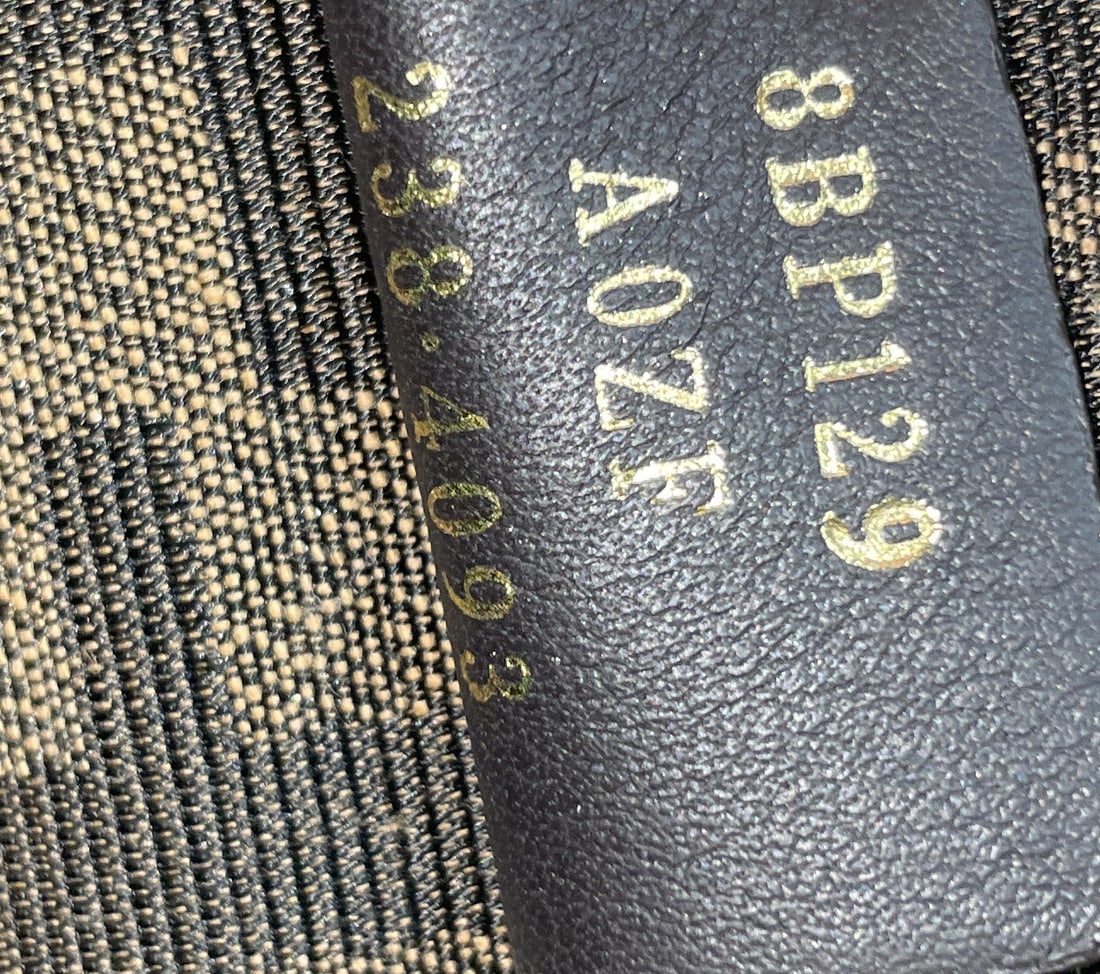 Fendi First Bag Python Small - 5