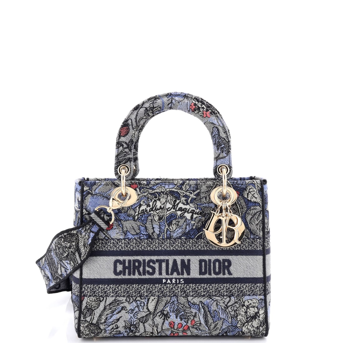 Christian Dior Lady D-Lite Bag (1 of 6)
