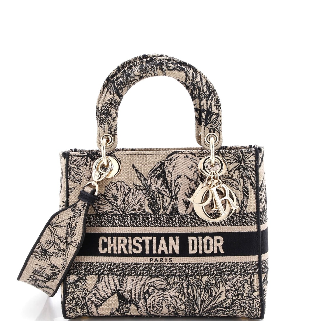 Christian Dior Lady D-Lite Bag (1 of 6)