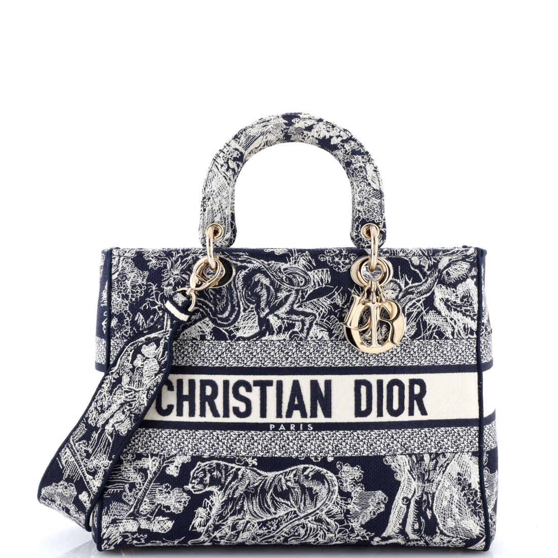 Christian Dior Lady D-Lite Bag (1 of 8)