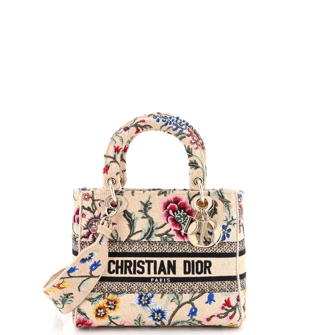 Christian Dior Lady D-Lite Bag (1 of 6)