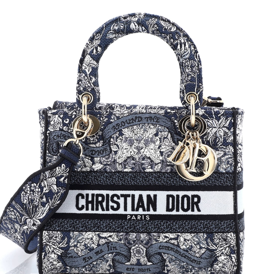 Christian Dior Lady D-Lite Bag (1 of 6)