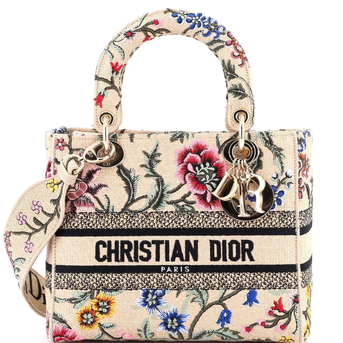 Christian Dior Lady D-Lite Bag (1 of 6)