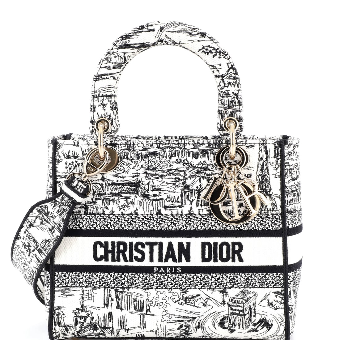 Christian Dior Lady D-Lite Bag (1 of 6)