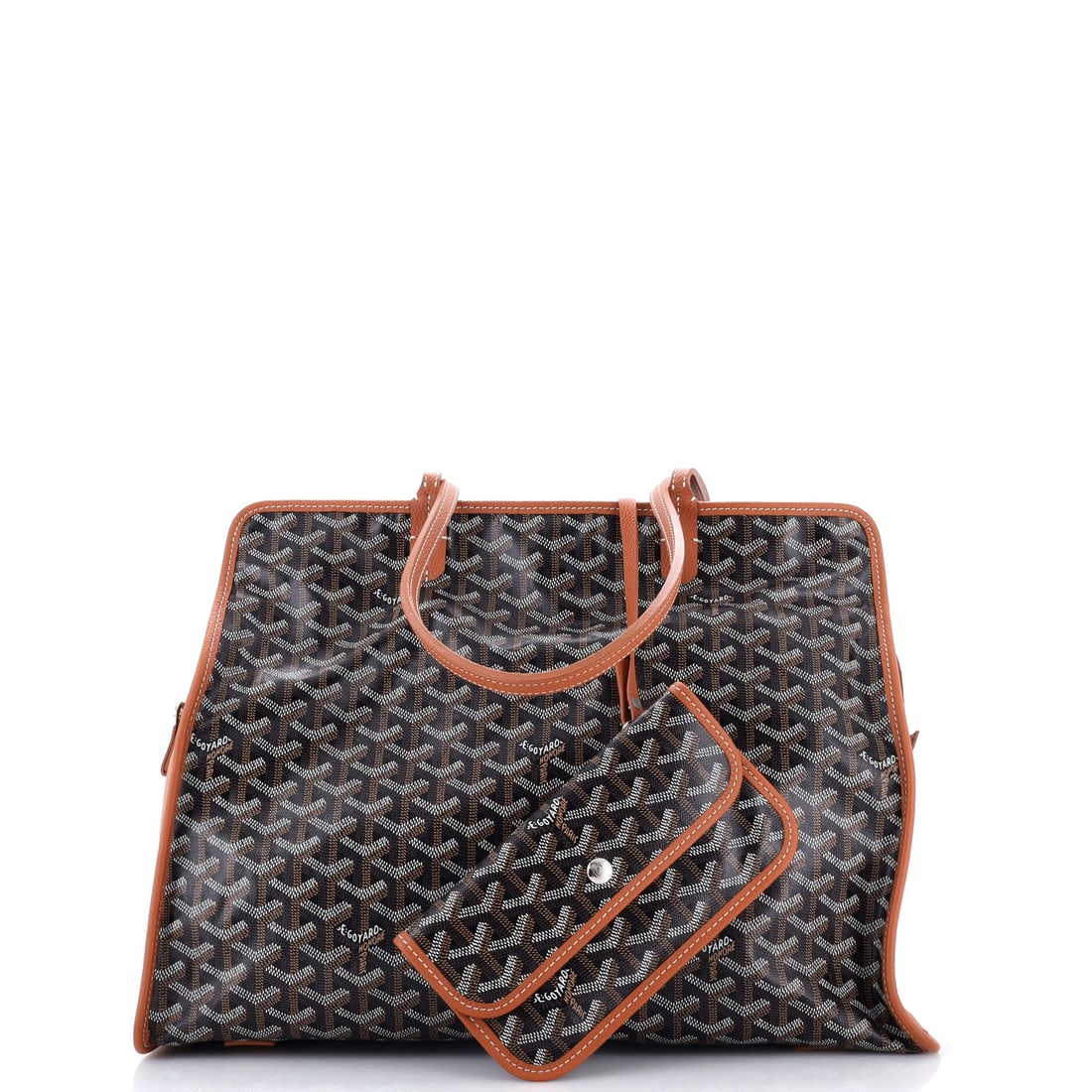Goyard Hardy Pet Carrier Coated Canvas PM (1 of 6)