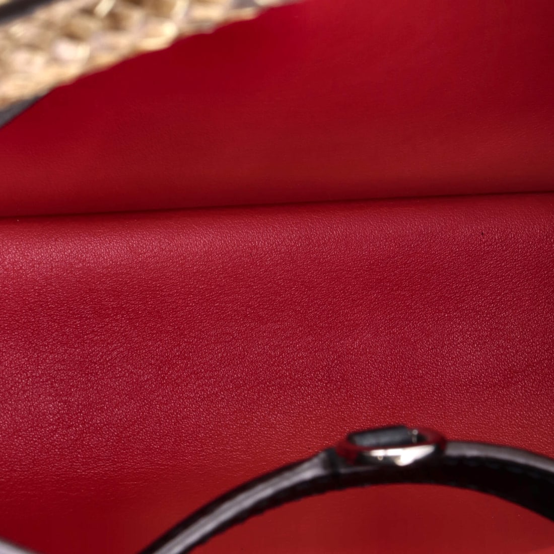 Louis Vuitton Capucines Bag Leather with Python PM - 4