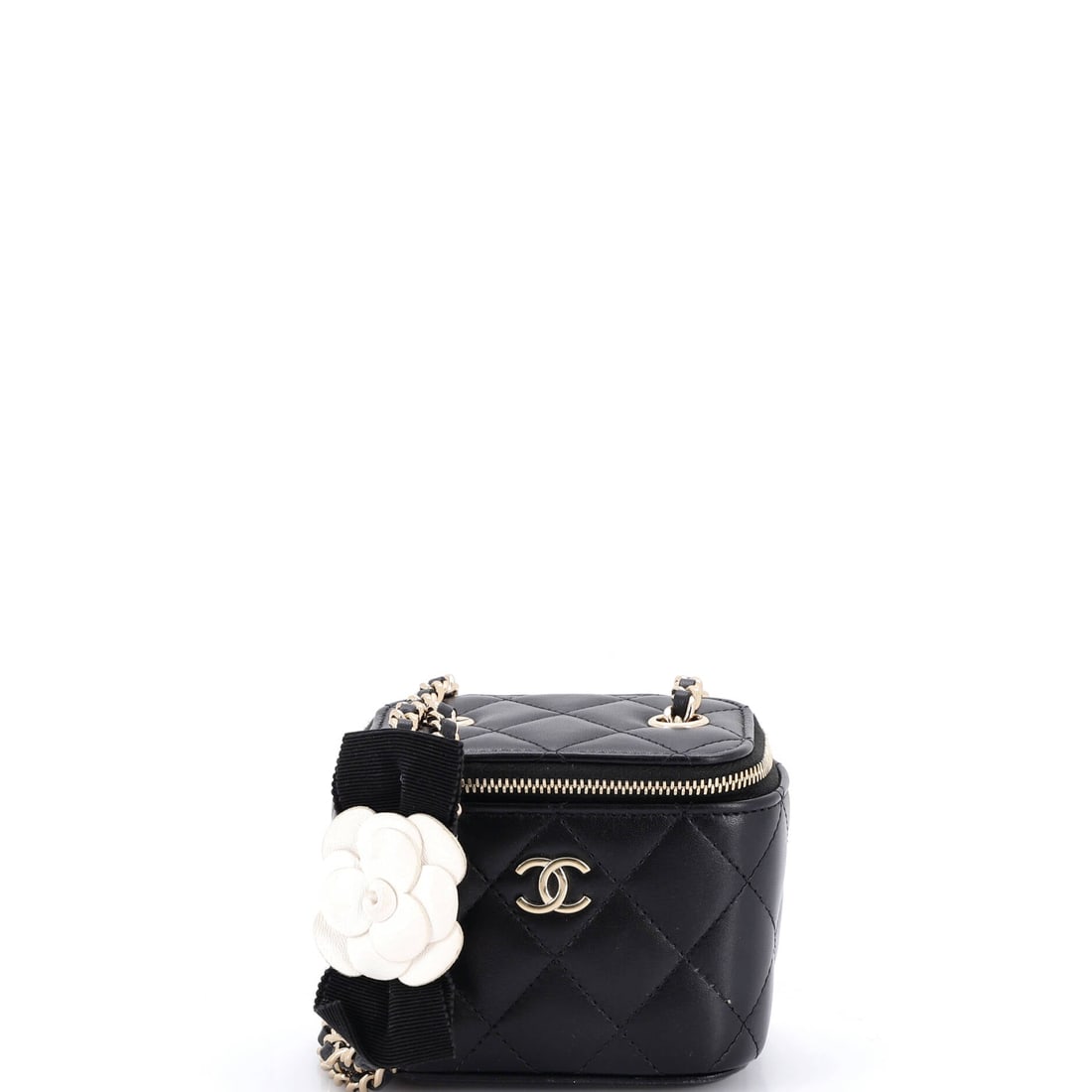Chanel Camellia Bow Vanity Case with Chain: This Chanel piece carries the unmistakable signature of heritage excellence. This iteration showcases Chanel's mastery in Italian leather construction, complete with adjustable straps and interior org