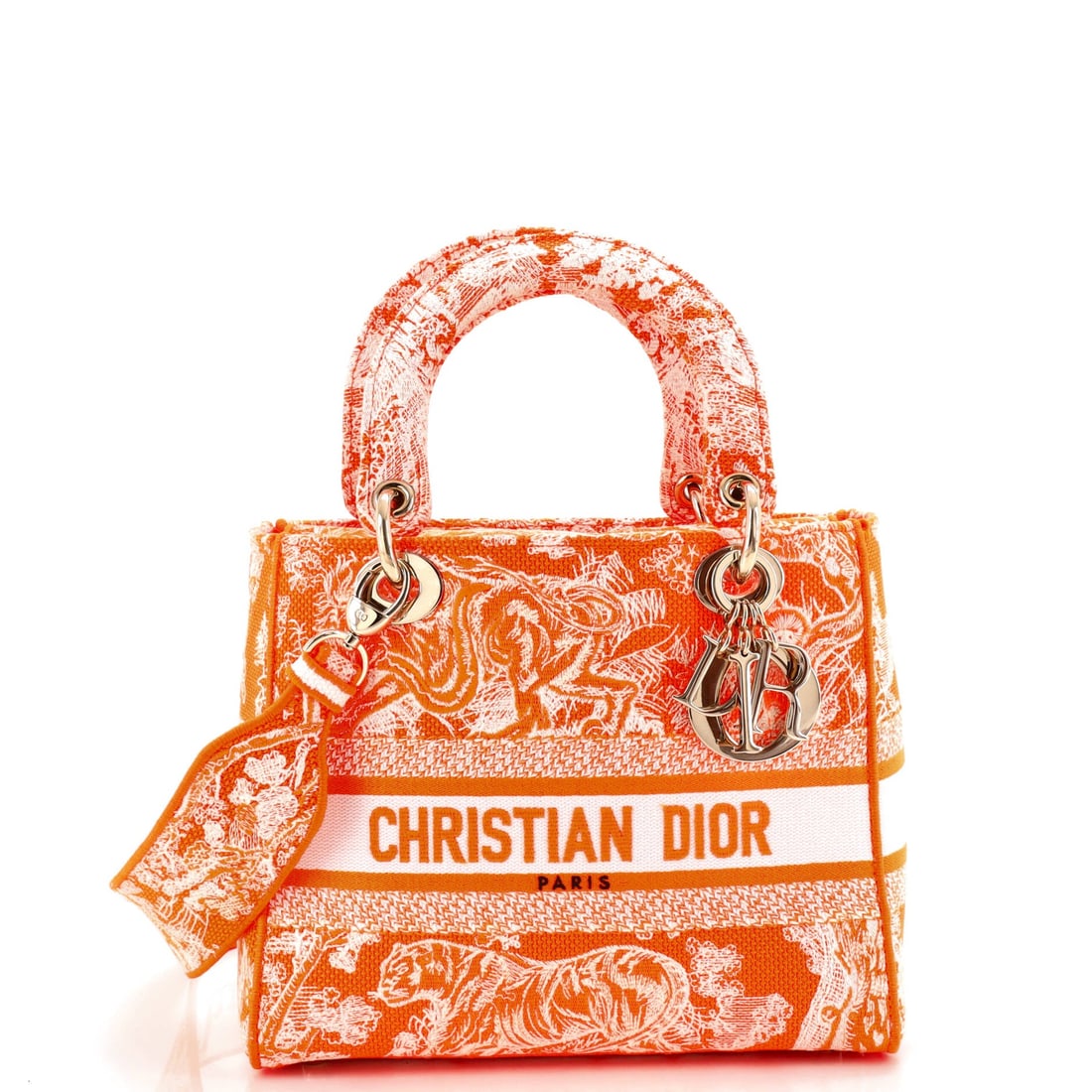 Christian Dior Toile de Jouy Lady D-Lite Bag Embroidered Canvas (1 of 6)