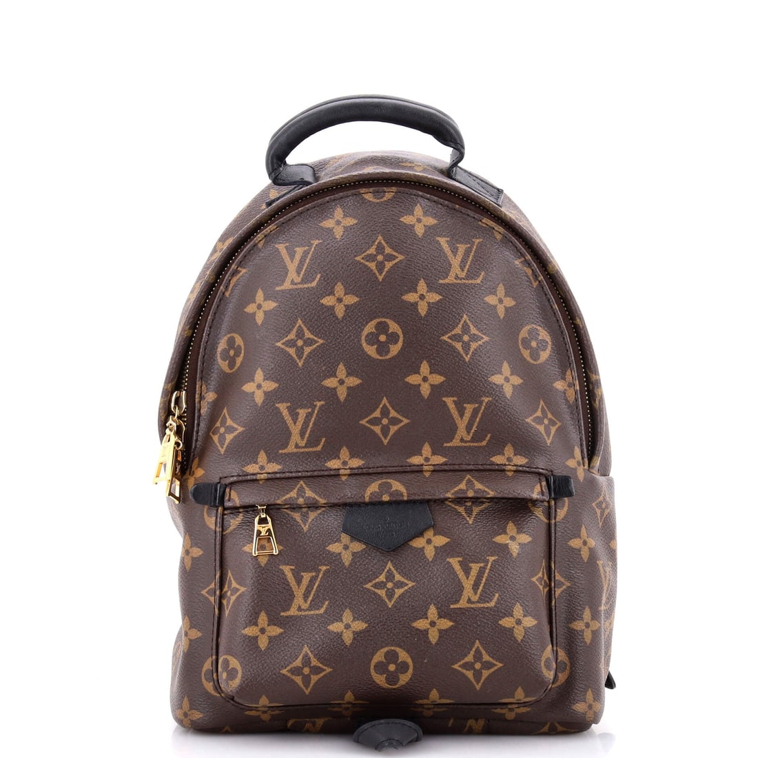 Louis Vuitton Palm Springs Backpack Monogram Canvas PM (1 of 7)